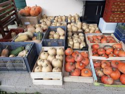Jardins dArs (Les)